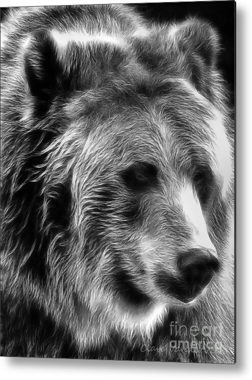 Bear Metal Print featuring the photograph Grizzly by Clare VanderVeen