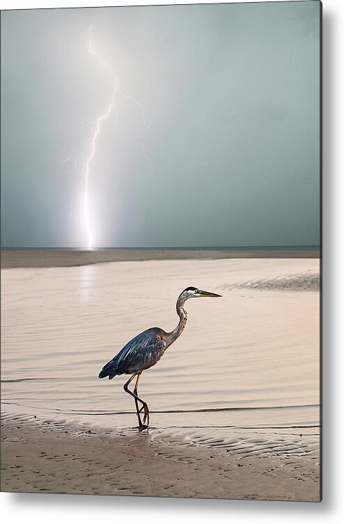 Lightning Metal Print featuring the photograph Gulf Port Storm by Scott Cordell