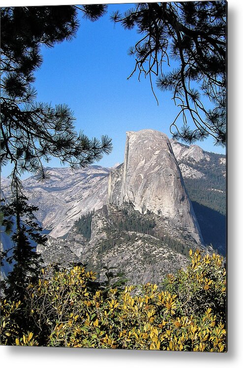 California Metal Print featuring the photograph Half Dome Framed by Ginger Stein