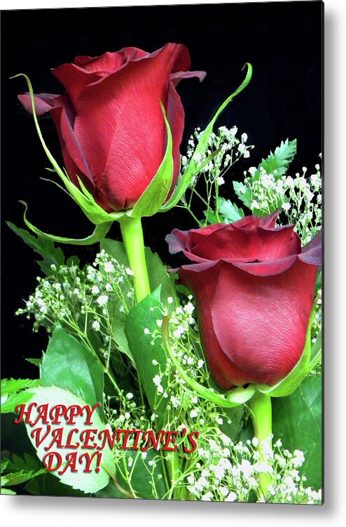 Valentines Day Metal Print featuring the photograph Happy Valentines Day by Sandi OReilly