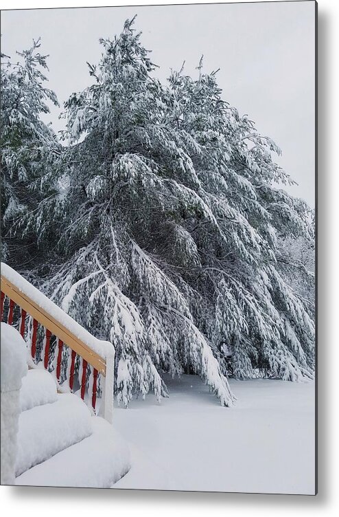 Landscape Metal Print featuring the photograph Home for the Blizzard by Mary Capriole