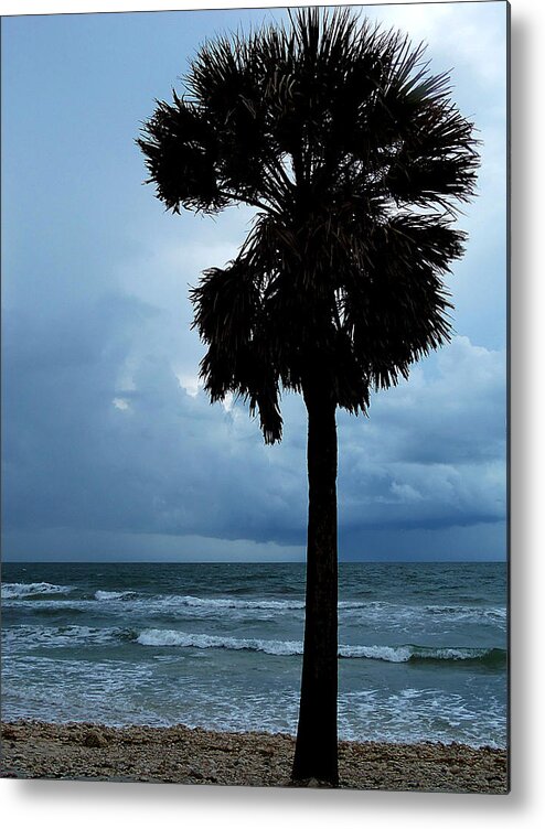Landscape Photography Metal Print featuring the photograph Honey Moon Island North Beach Palm 001 by Christopher Mercer