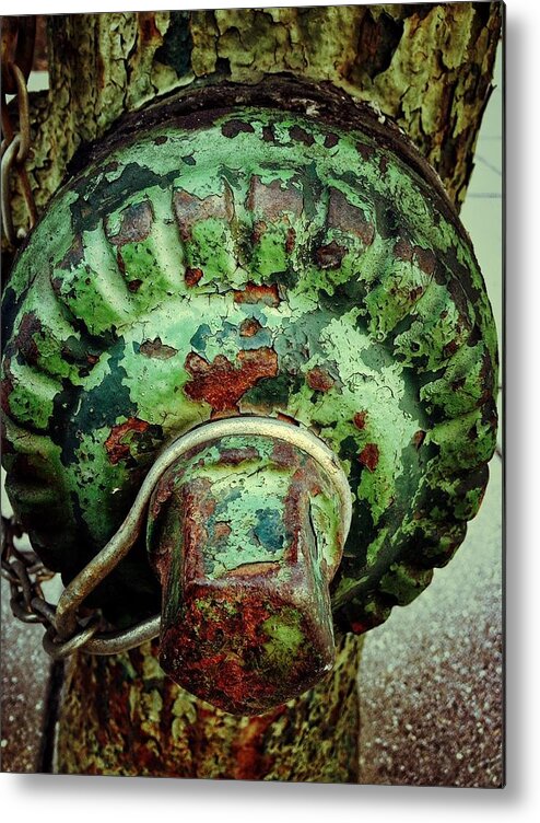 Hydrant Metal Print featuring the photograph Hydrant 255 by Olivier Calas