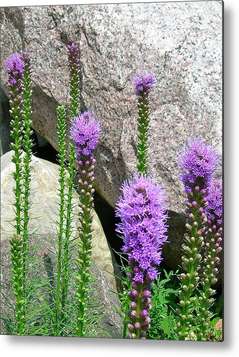 Floral Metal Print featuring the photograph Inspired by Randy Rosenberger