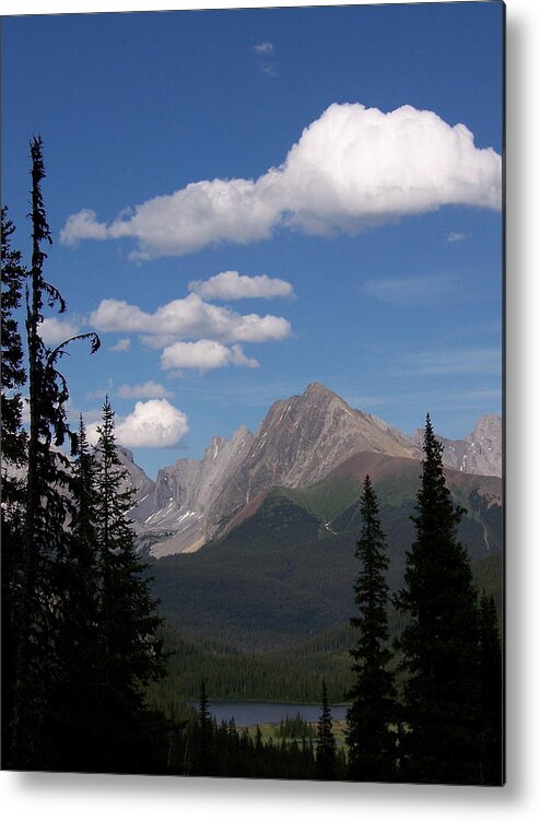 Spectacular View Metal Print featuring the photograph Into The Valley by Greg Hammond