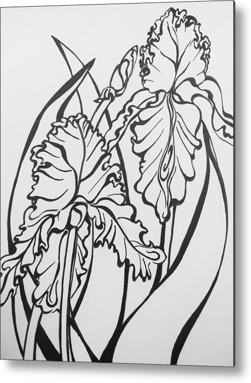 Pin Metal Print featuring the drawing Iris by Mastiff Studios