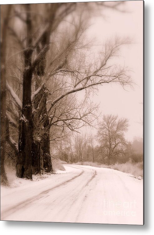 Winter Metal Print featuring the photograph Just Around the Bend by Carol Groenen