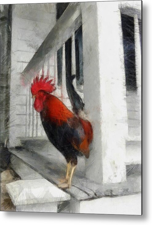 Isolated Metal Print featuring the photograph Key West Porch Rooster by Michelle Calkins
