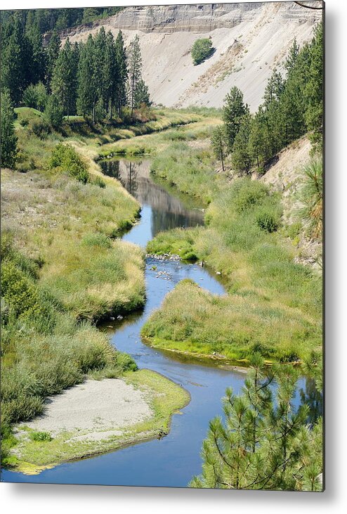 Nature Metal Print featuring the photograph Latah Creek by Ben Upham III