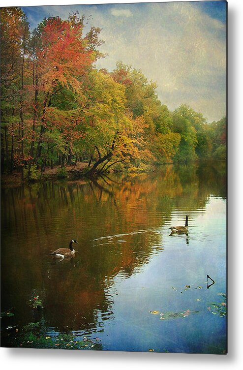 Geese Metal Print featuring the photograph Late Afternoon by John Rivera