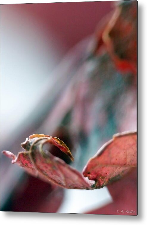 Abstract Metal Print featuring the photograph Leaf Abstract I by Lauren Radke