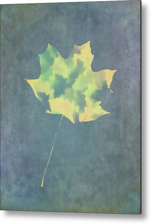 Maple Leaf Metal Print featuring the photograph Leaves Through Maple Leaf On Texture 3 by Gary Slawsky