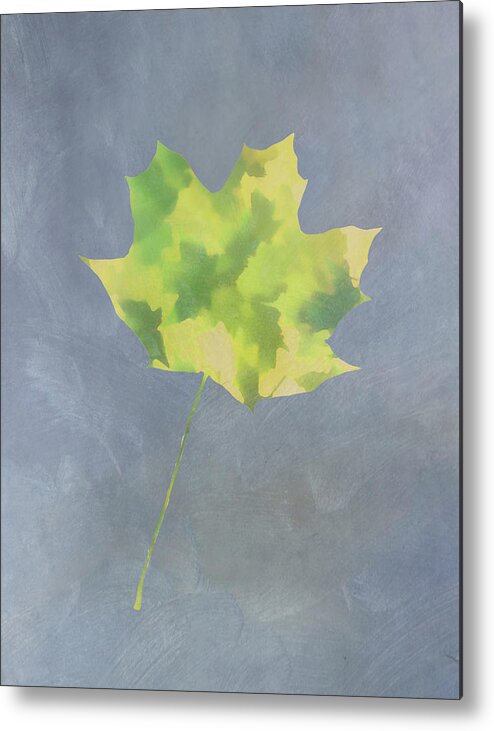 Maple Leaf Metal Print featuring the photograph Leaves Through Maple Leaf On Texture 4 by Gary Slawsky