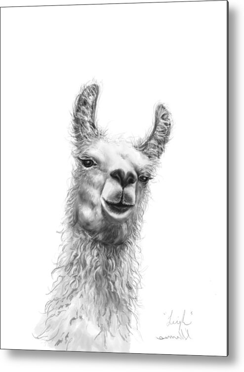 Llama Art Metal Print featuring the drawing Leigh by Kristin Llamas
