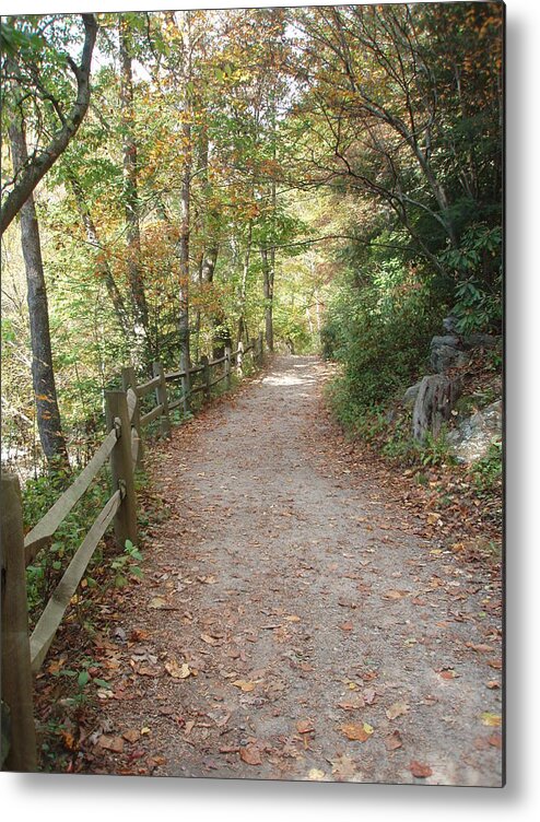 Path Metal Print featuring the photograph Leisurely Walks Calm The Soul by Allen Nice-Webb