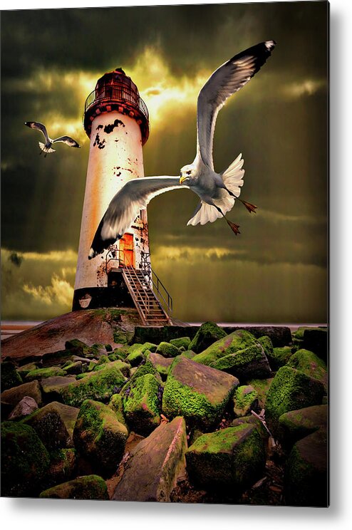 Lighthouse Metal Print featuring the photograph Lighthouse With Seagulls by Meirion Matthias