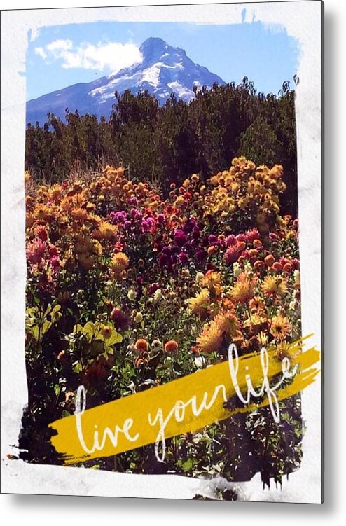 Mt. Hood Metal Print featuring the painting Live Your Life by Jennifer Lake