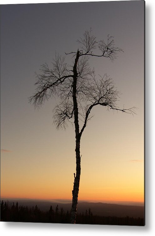 Tree Metal Print featuring the photograph Lonely tree by Are Lund