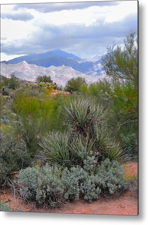 Arizona Metal Print featuring the photograph Looking North by Gordon Beck