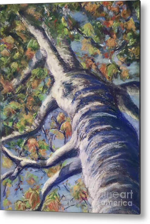 Trees Metal Print featuring the painting Looking Up - Fall by Susan Sarabasha
