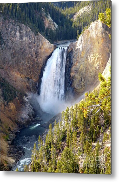 Falls Metal Print featuring the photograph Lower Yellowstone Falls from Inspiration Point by Jean Wright