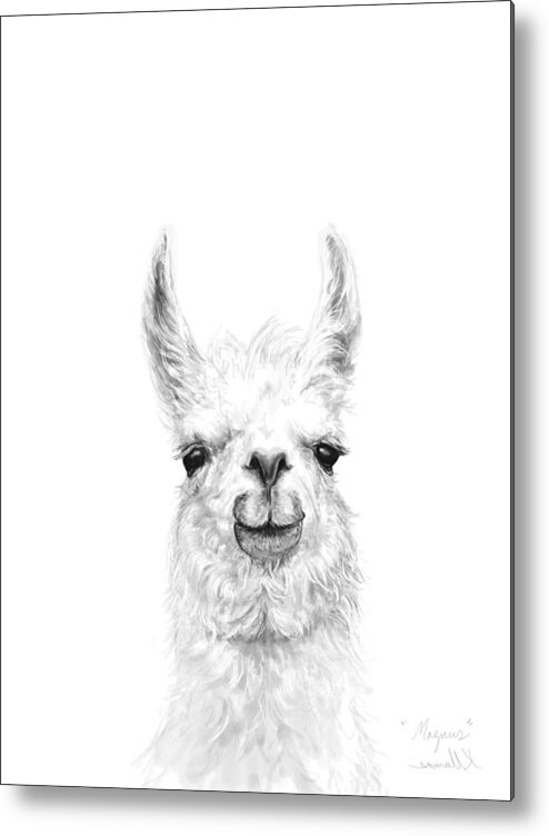 Llama Art Metal Print featuring the drawing Magnus by Kristin Llamas