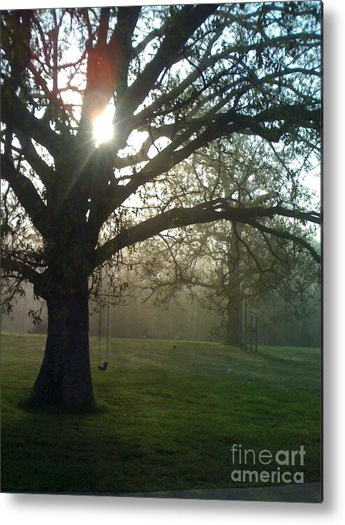Mist Metal Print featuring the photograph MIsty Morning by Nadine Rippelmeyer