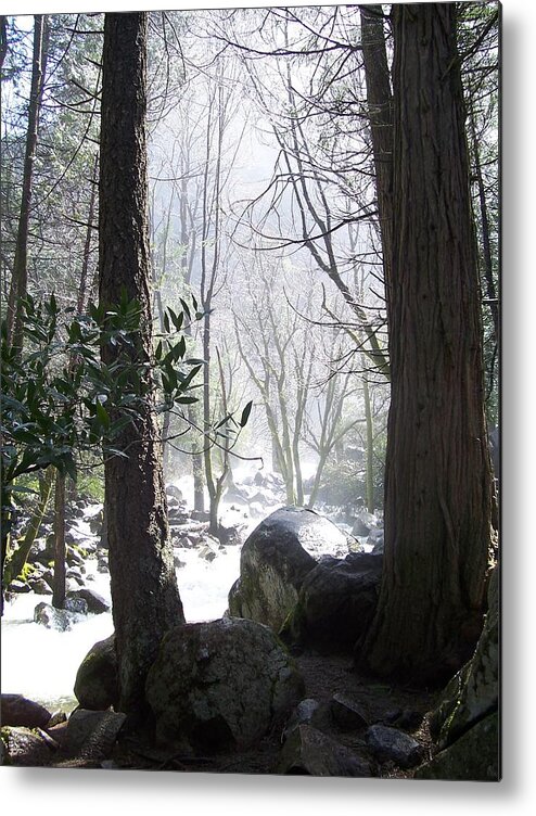 Landscape Metal Print featuring the photograph Misty River by Dawn Marie Black