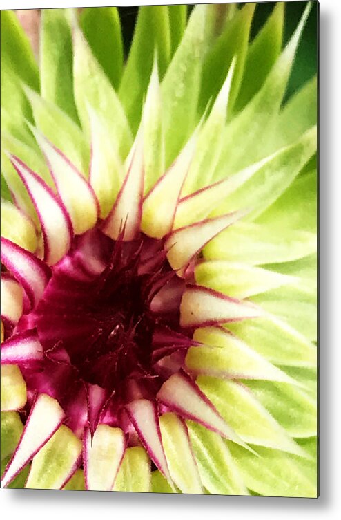 Flower Metal Print featuring the photograph Moments by Jeff Iverson