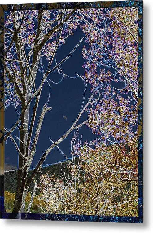 Nature Metal Print featuring the photograph Moon Between Trees by Feather Redfox