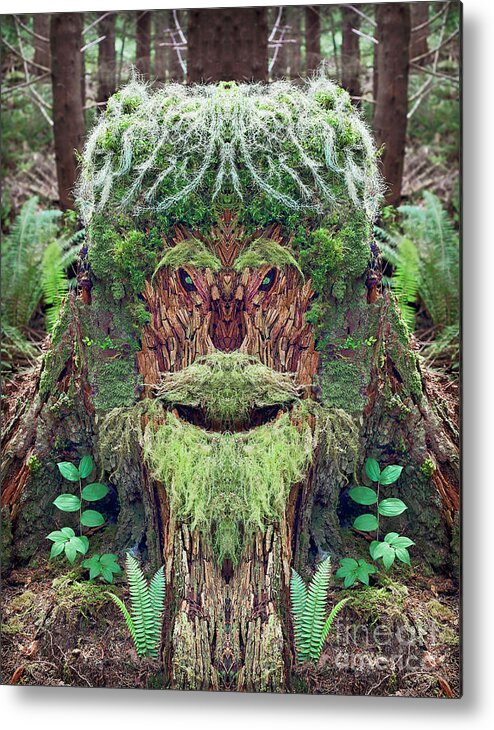 Moss Metal Print featuring the photograph Mossman Tree Stump by Martin Konopacki