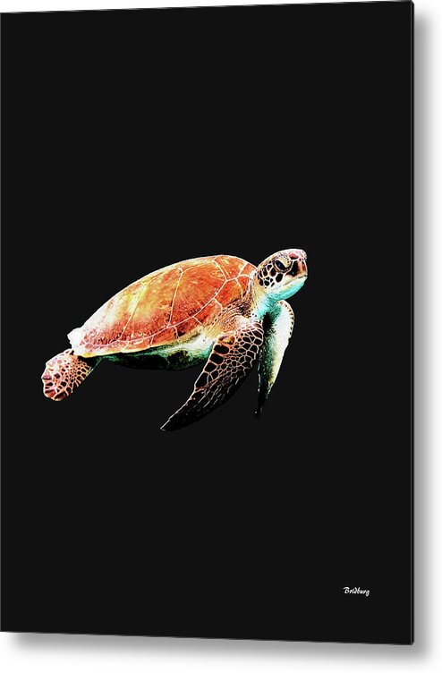 Leather Back Turtle Metal Print featuring the digital art Music Notes 31 by David Bridburg