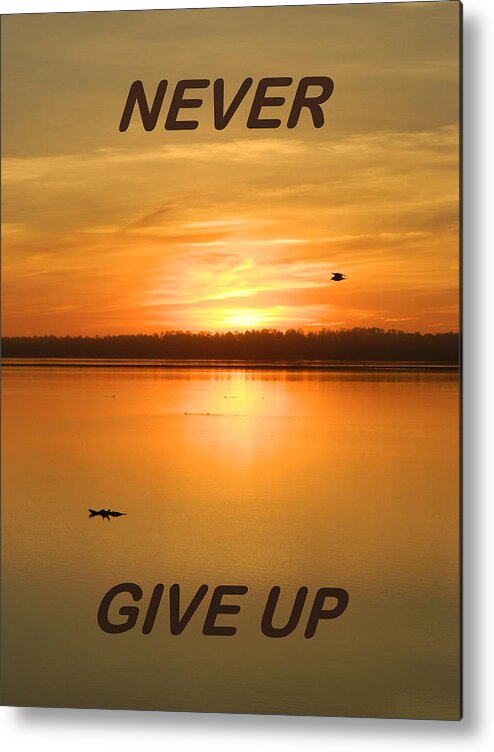 Galleryofhope Metal Print featuring the photograph Never Give Up by Gallery Of Hope 