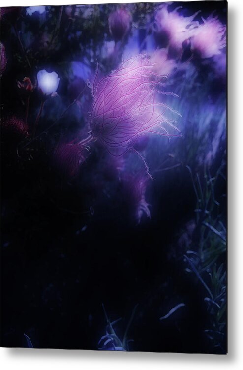 Image Created On Instagram Via @kmessmer53 Metal Print featuring the photograph Night Bloom by Kathleen Messmer