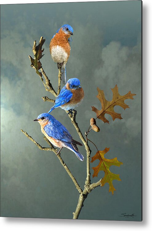 Birds Metal Print featuring the digital art Nothing But Bluebirds by M Spadecaller
