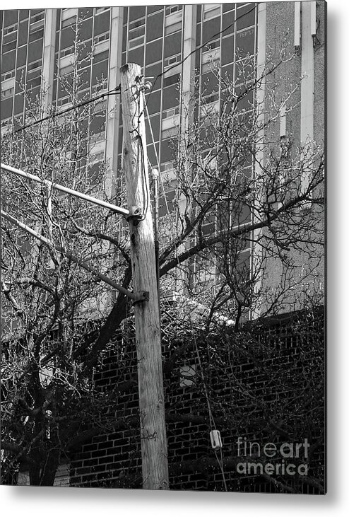Telephone Pole Metal Print featuring the digital art Old Telephone Pole by Phil Perkins