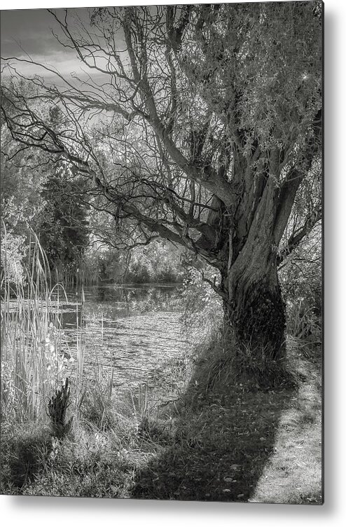 24-105 F/4 Is L Metal Print featuring the photograph Old Willow by Mark Mille