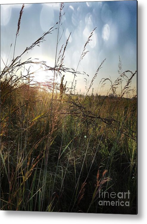 On The Prairie Metal Print featuring the photograph On the Prairie by Maria Urso