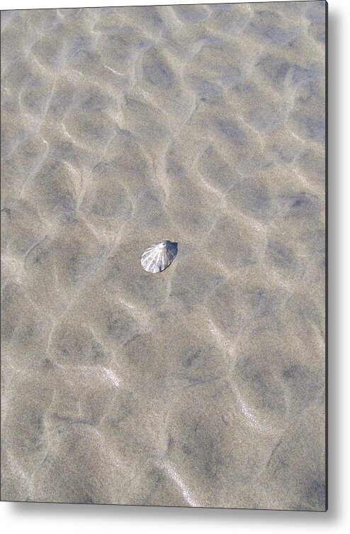 Shells Metal Print featuring the photograph One Lonely Shell by Gallery Of Hope 