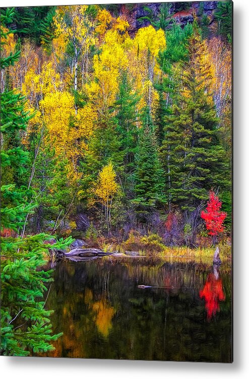 Wilderness Metal Print featuring the photograph Ontario Tarn by Steve Harrington