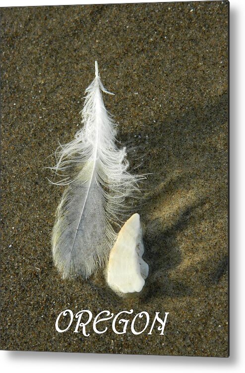 Feathers Metal Print featuring the photograph Oregon Feather by Gallery Of Hope 