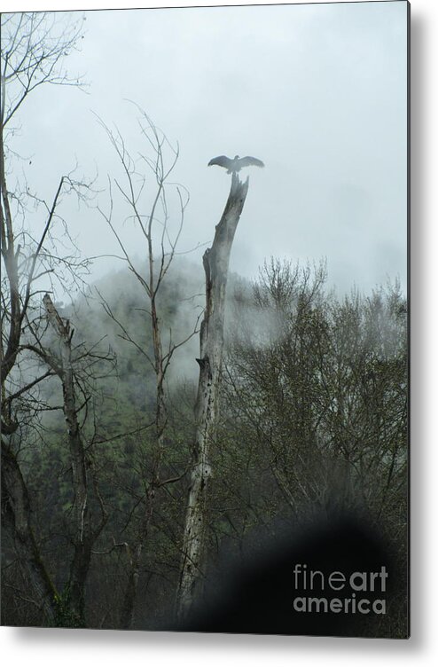 Vulture Metal Print featuring the photograph Out of the mist two by Marie Neder