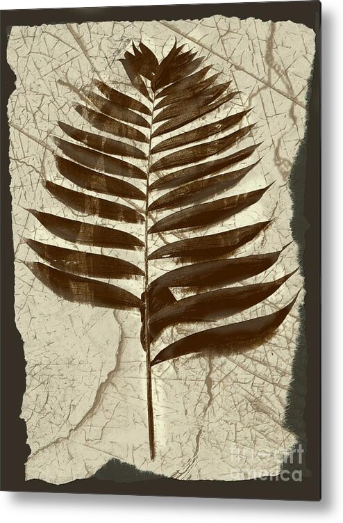 Photograph Metal Print featuring the digital art Palm Fossil Sandstone by Delynn Addams