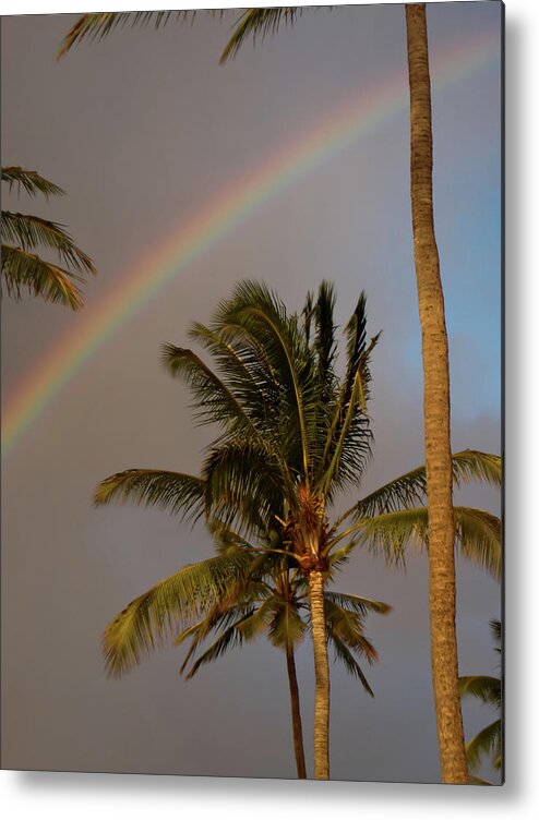 Kauai Metal Print featuring the photograph Palm Trees and Rainbow by Roger Mullenhour