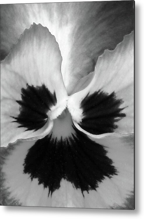 Pansy Metal Print featuring the photograph Pansy 09 BW - Thoughts of You by Pamela Critchlow