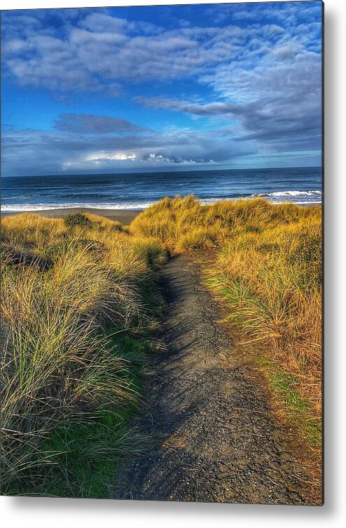 Landscape Metal Print featuring the photograph Path to the Beach by Bonnie Bruno