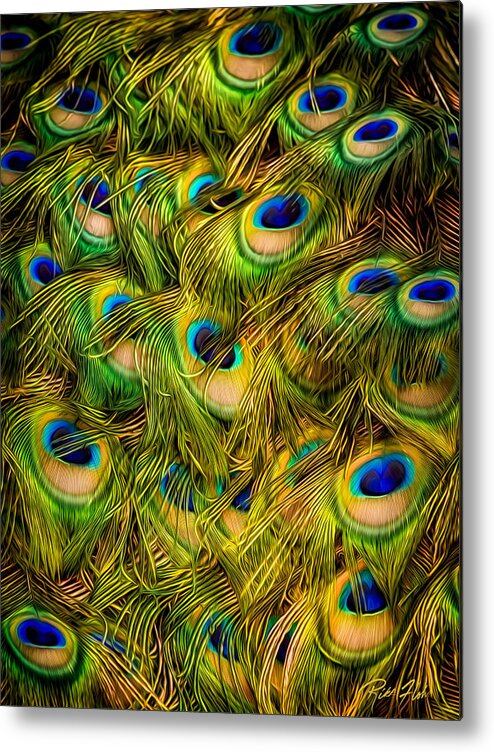 Birds Metal Print featuring the photograph Peacock Tails by Rikk Flohr