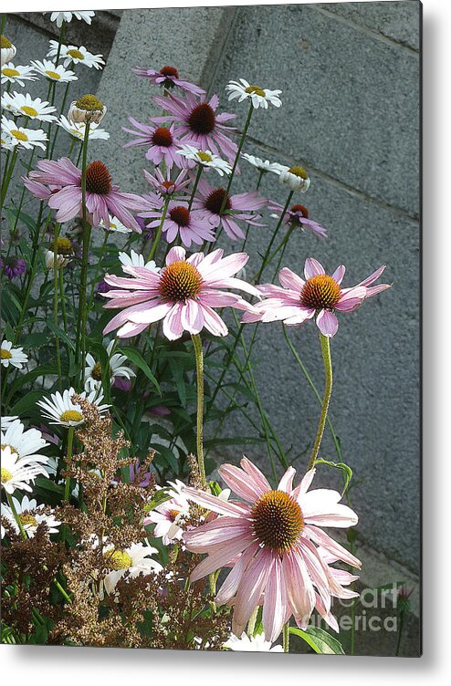 Flowers Metal Print featuring the photograph Pink Coneflowers by Margie Avellino