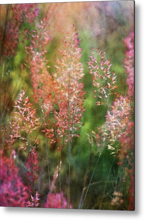 Impressionist Metal Print featuring the photograph Pink Tails 4242 IDP_2 by Steven Ward