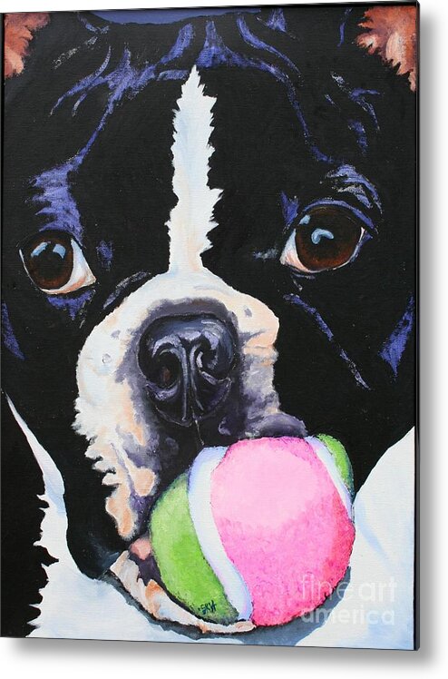 Boston Terrier Metal Print featuring the painting Play Ball by Susan Herber